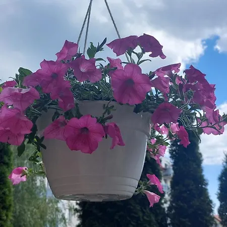 アパート Apartament Gdynskie Zacisze グディニャ